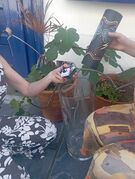 Exploring the acoustic properties of glass within glass